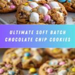 Soft Batch Chocolate Chip Cookies Recipe