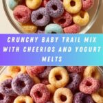 Baby Trail Mix with Cheerios and Yogurt Melts Recipe