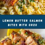 Salmon Bites with Lemon Butter Orzo Recipe