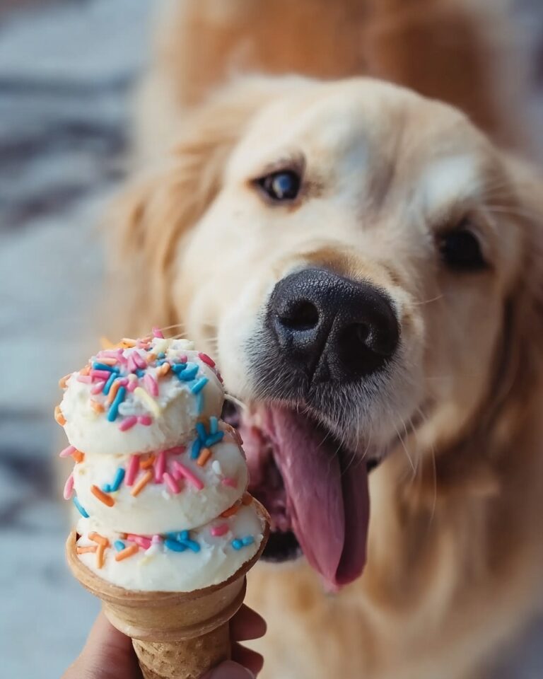 DIY Doggy Ice Cream Recipe