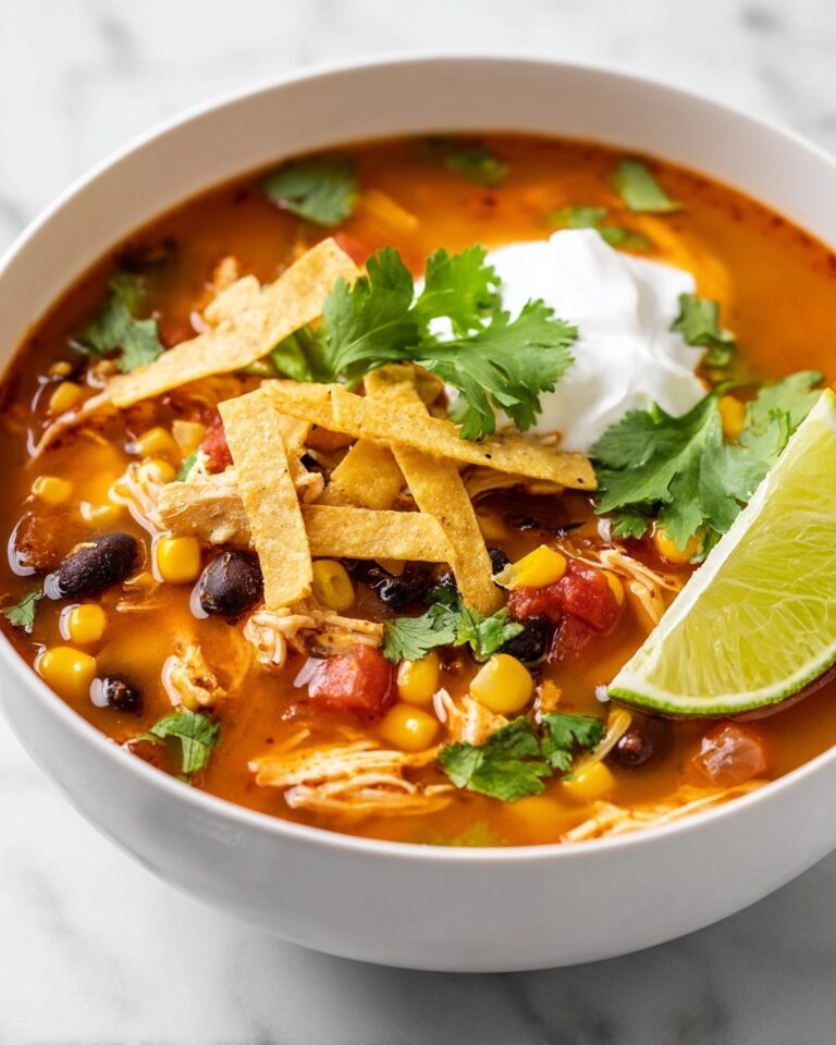 Mexican Chicken Soup Recipe