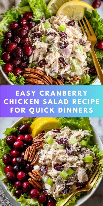 Cranberry Chicken Salad Recipe - Recipe Image