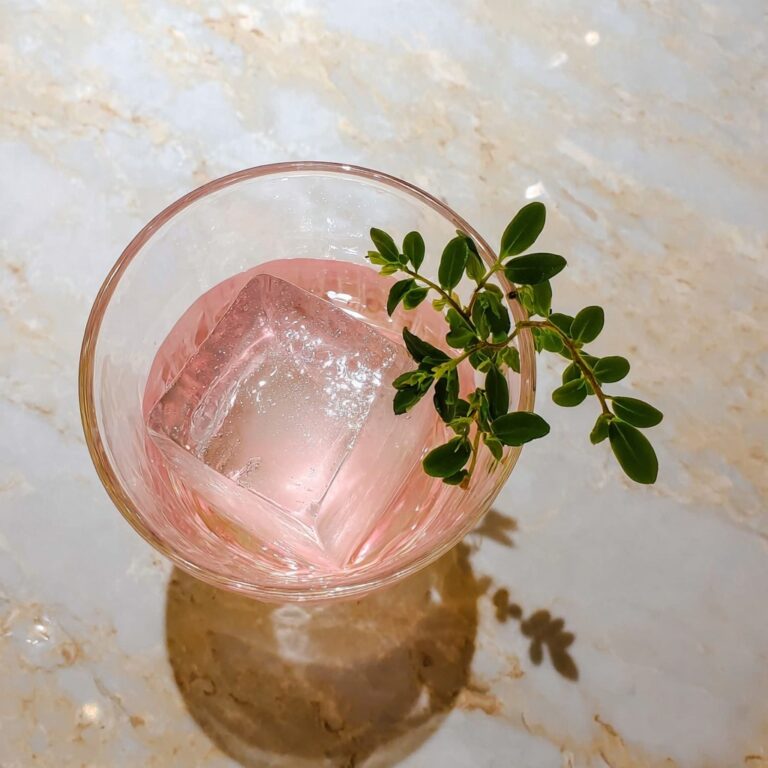 Rhubarb Shrub Cocktail with Gin and Ginger Beer Recipe